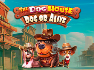 The Dog House slot preview